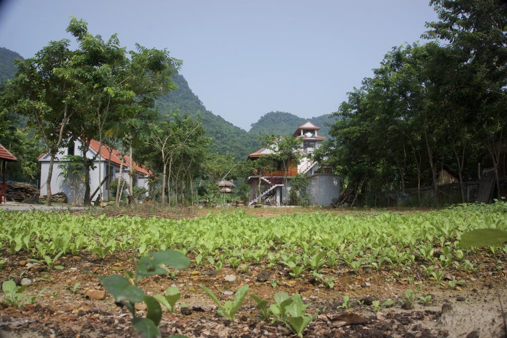 Ho Khanh'S Homestay Phong Nha Exterior foto